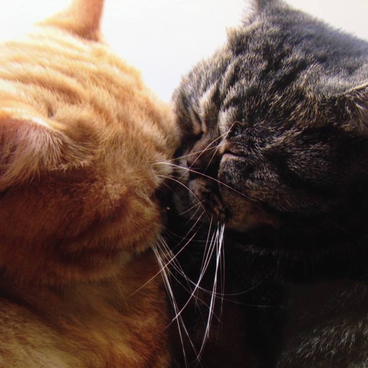 71c710bf ff02 4530 9af3 476241b08bf0