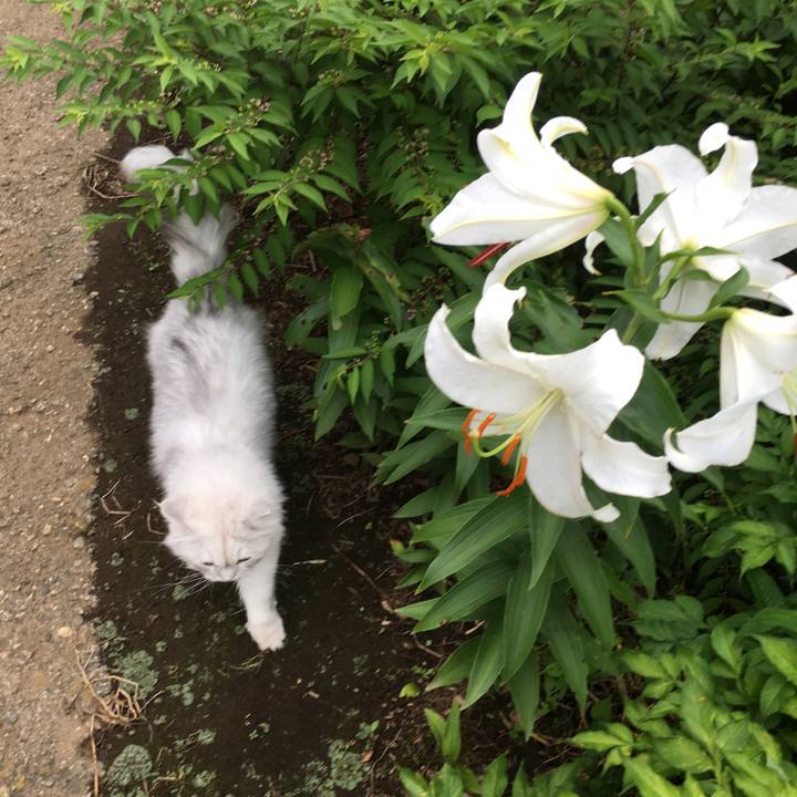 71c79a63 f13c 44f4 8e12 de10f92b2919