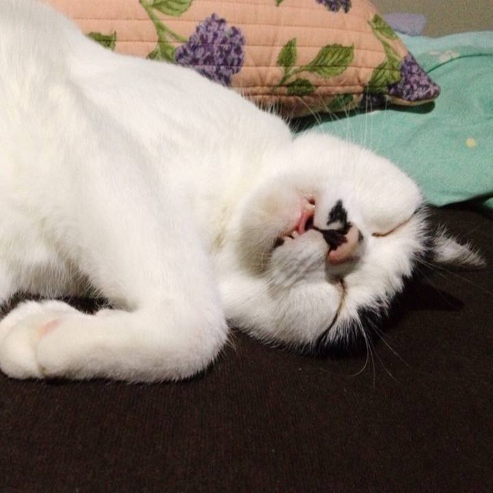 71c8c9f1 75dc 43a4 8a24 7259d0103e07