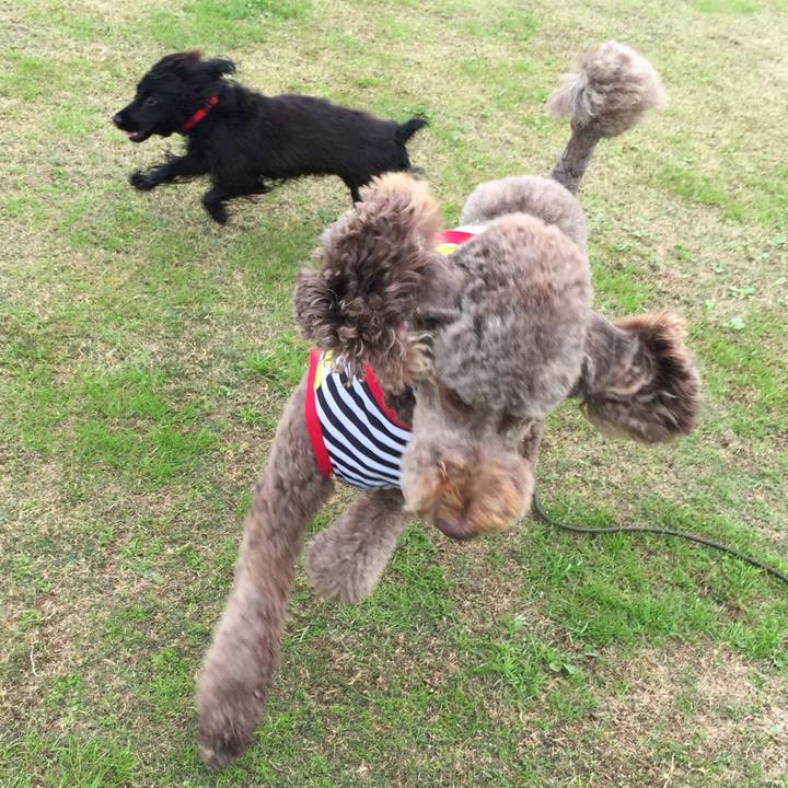 71cb2e4f 5d1d 45e2 914c d7cc70260da8