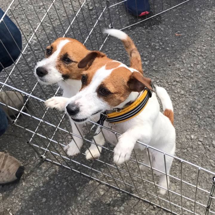 71cb6914 863e 4df0 b3f9 b8f944652062