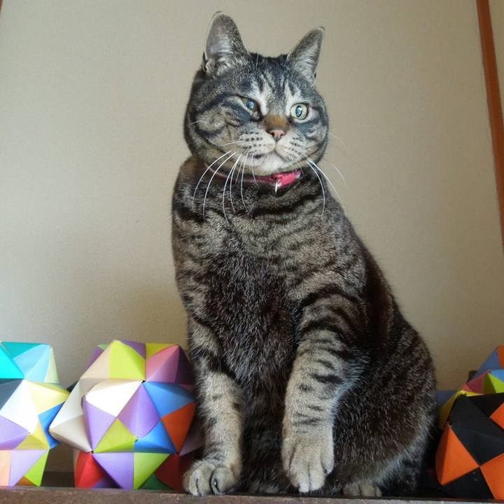 71ccd639 e01d 405c 91ac f19e4d384e1b