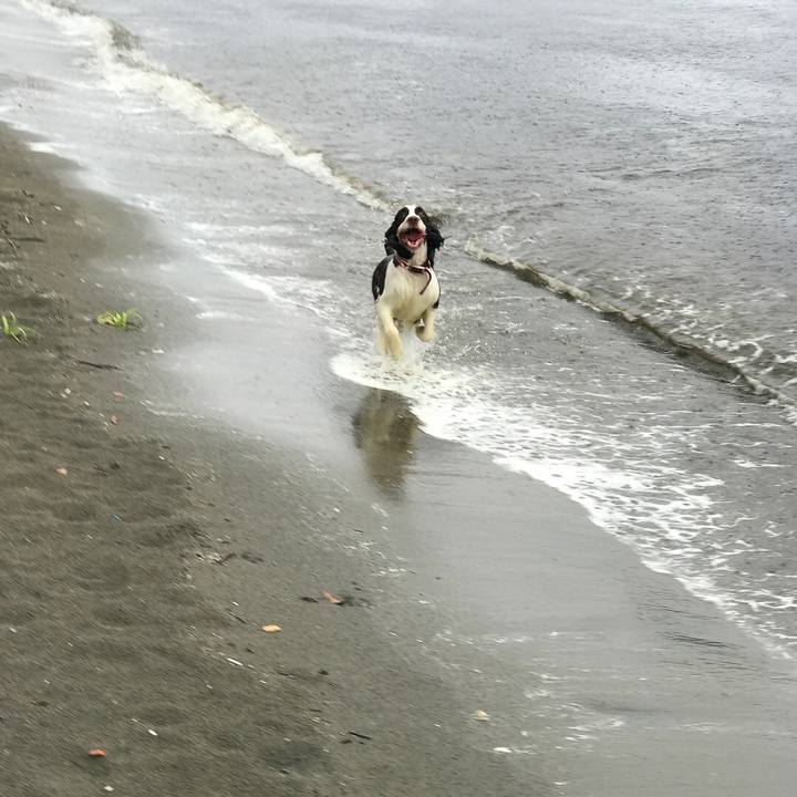 71cd082b ed43 4c26 ab08 109a10195ca9