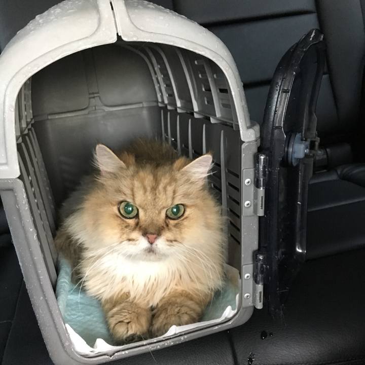 71cd1664 9ea1 4e63 9112 13e1d9817077