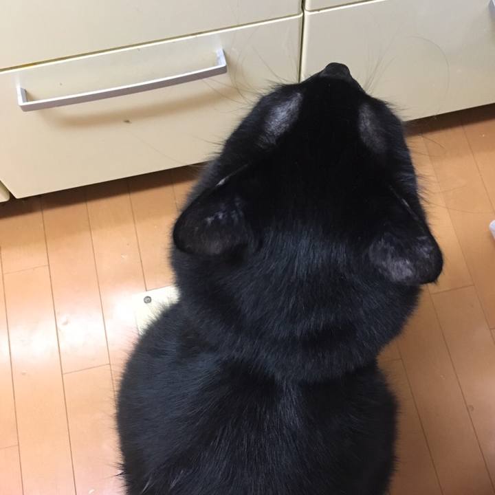 71cd20c3 d885 4956 abba fceb968d73b3