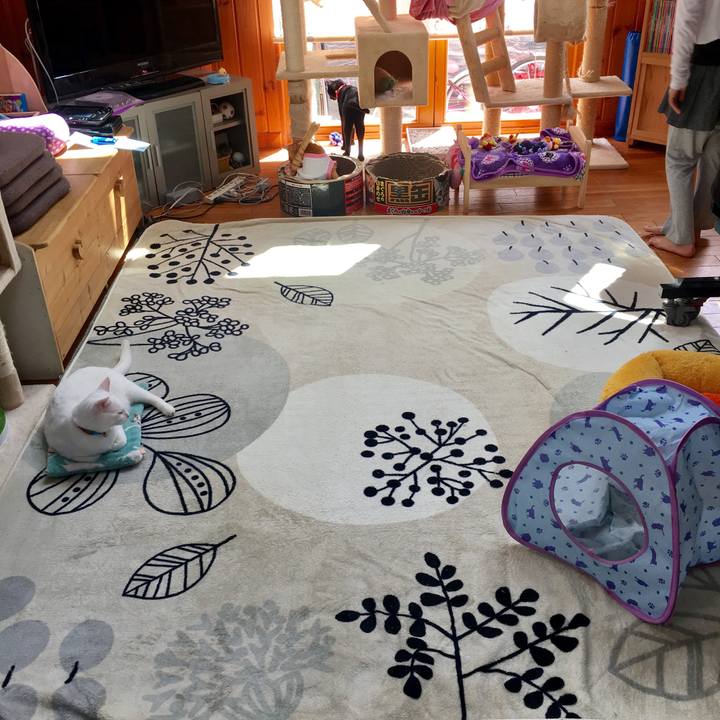 71ce14db 89d4 4cce 9656 d7c76c7b0a17