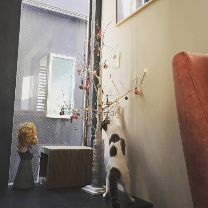 71ce396c d357 40c6 9847 187d6e9085e2