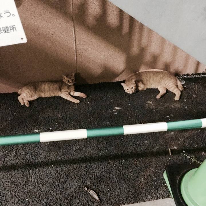 71ce5ab9 77fa 42c2 b313 6498635c8f2f