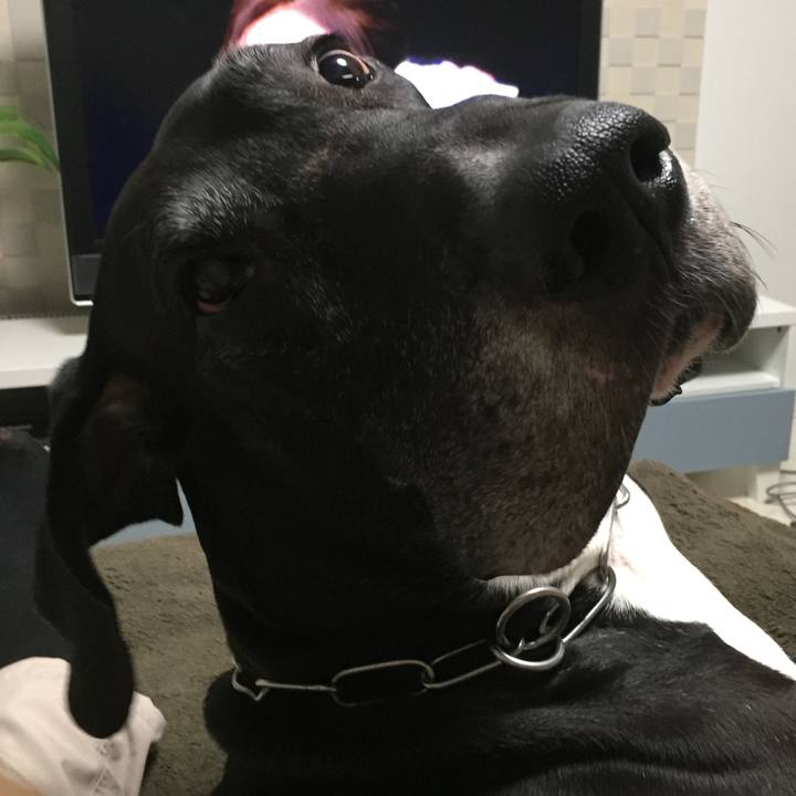 71cf1386 1c78 44a1 b66d dc2ea4d38fe1