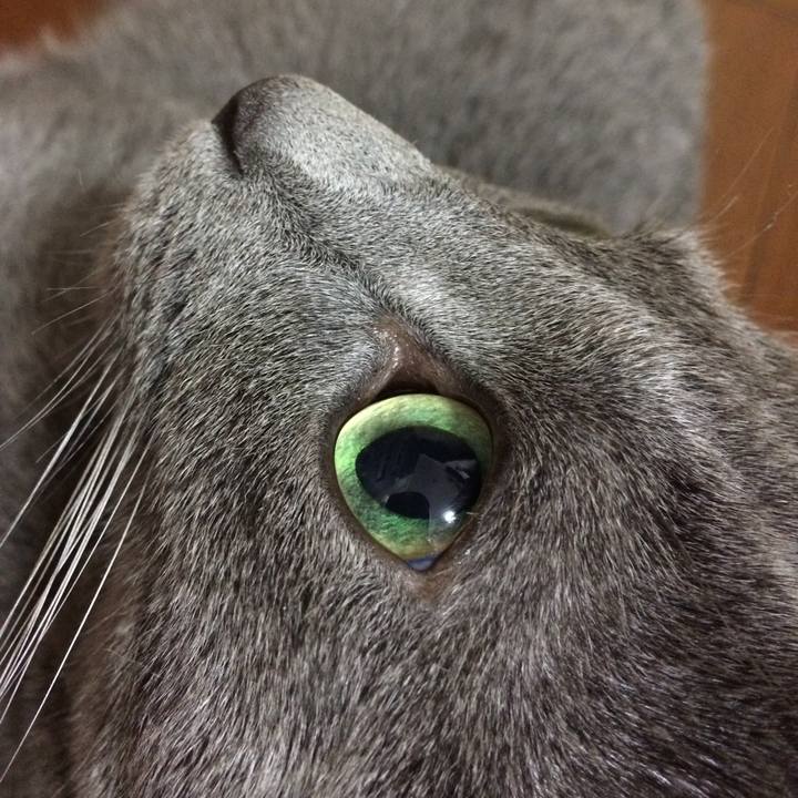 71cf78cf ff6e 40c5 b197 310eb670496b