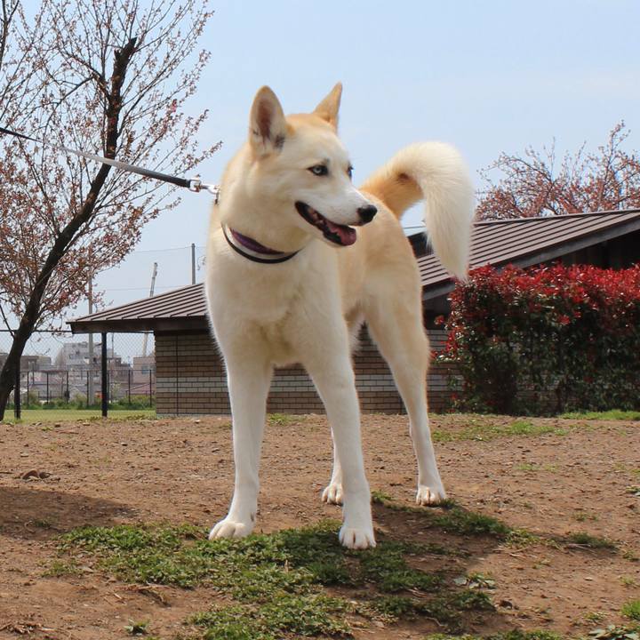 71cfdd81 8228 4319 8732 71b765c88b48