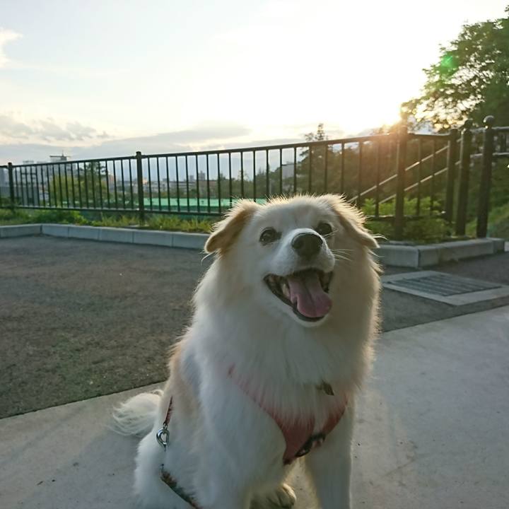 71cfe9bf f3ac 4e70 bf1d 31290c4740d3