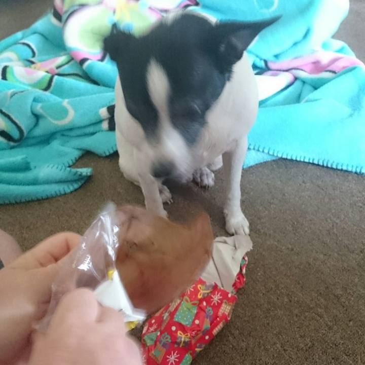 71d01b6b 8292 4c8f 830d 518674b8e850