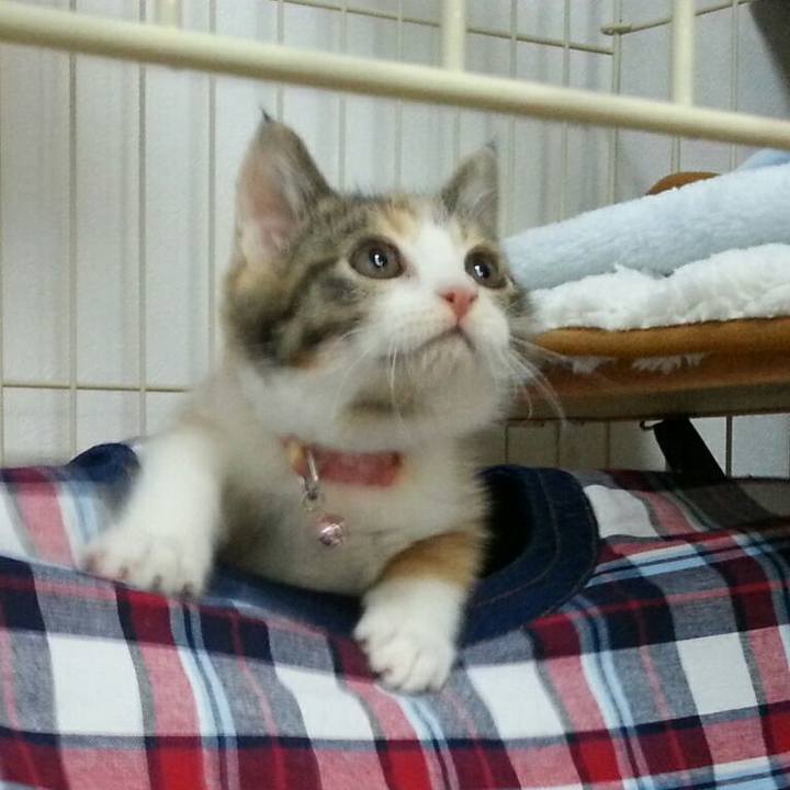 71d10ddf 7399 4768 ae1a 6850cca4aec2