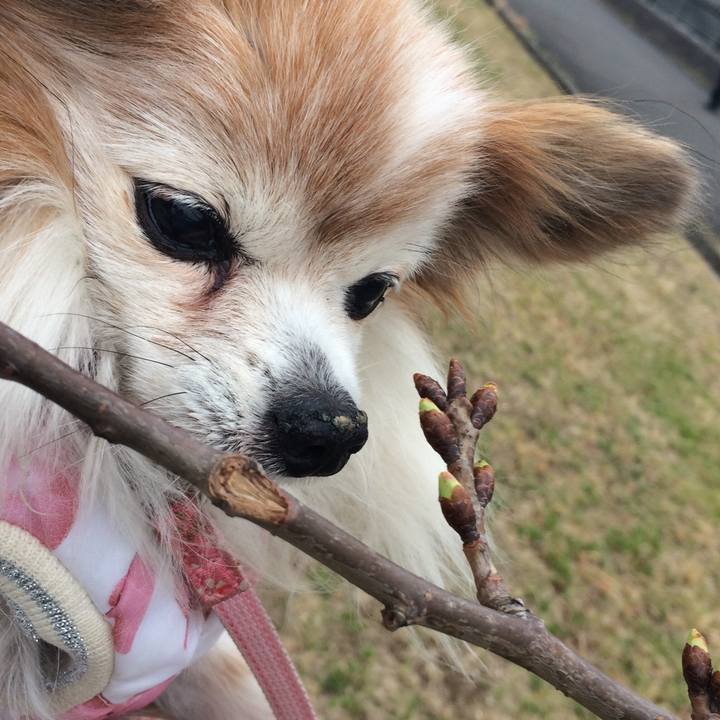 71d21aec 1d0b 431e 9ec7 58ae711120ae