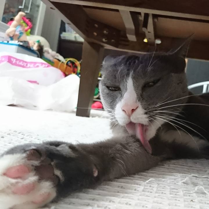 71d29a0b f2be 49e0 a373 6729132282e4