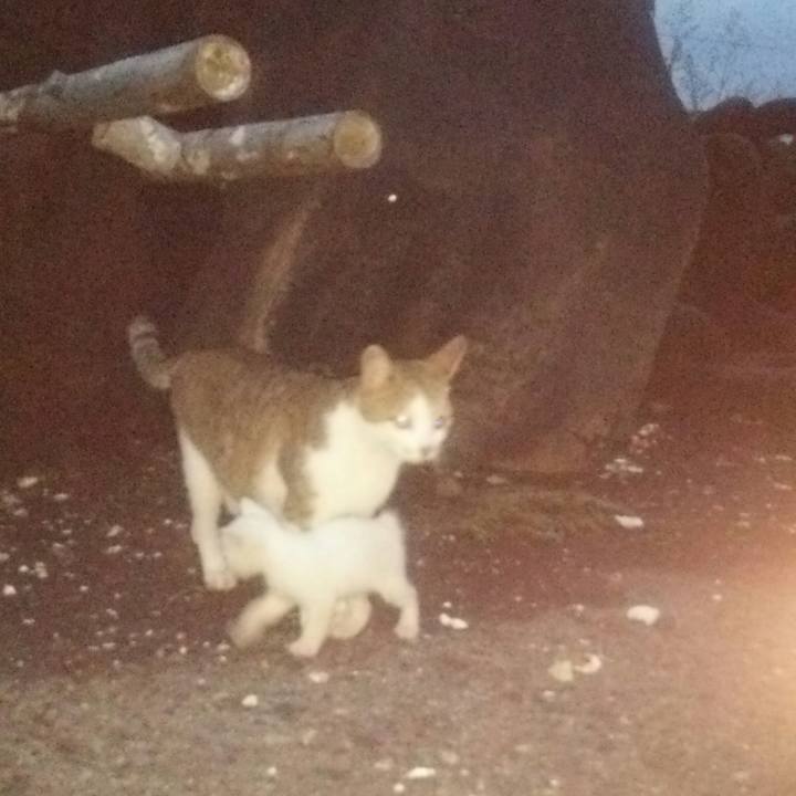 71d2b66b 346b 4a60 b532 777a155b0a7f