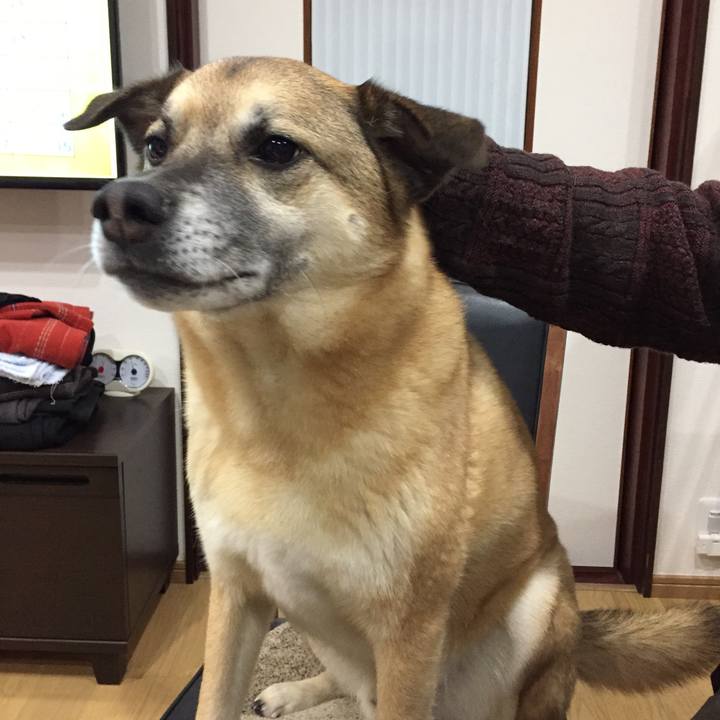 71d2db96 9fda 45e5 9c6a e557e46734b3