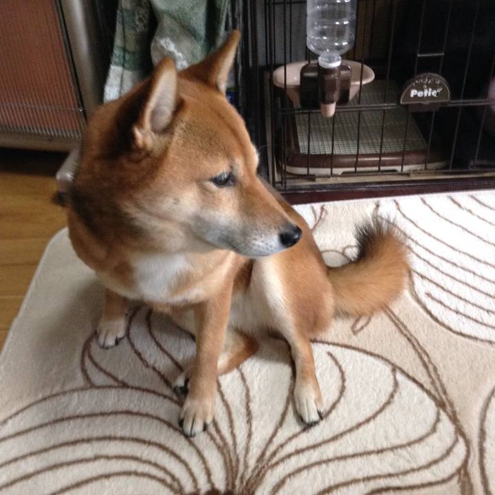 71d31540 1658 424c 8336 c1bfcfbb1864