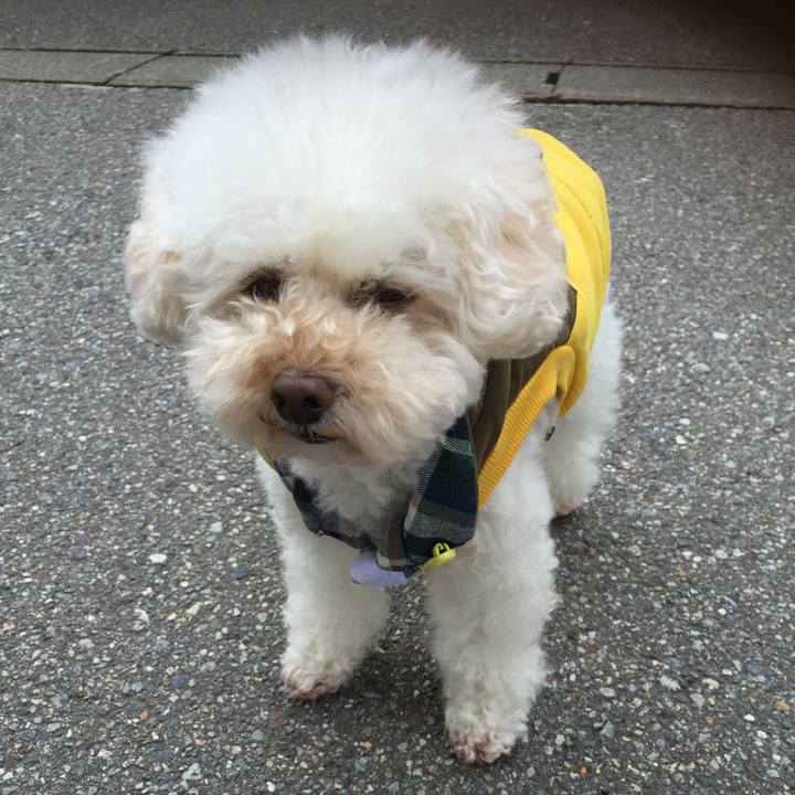 71d35450 8eaa 41fc a0d0 4b918c80c51c