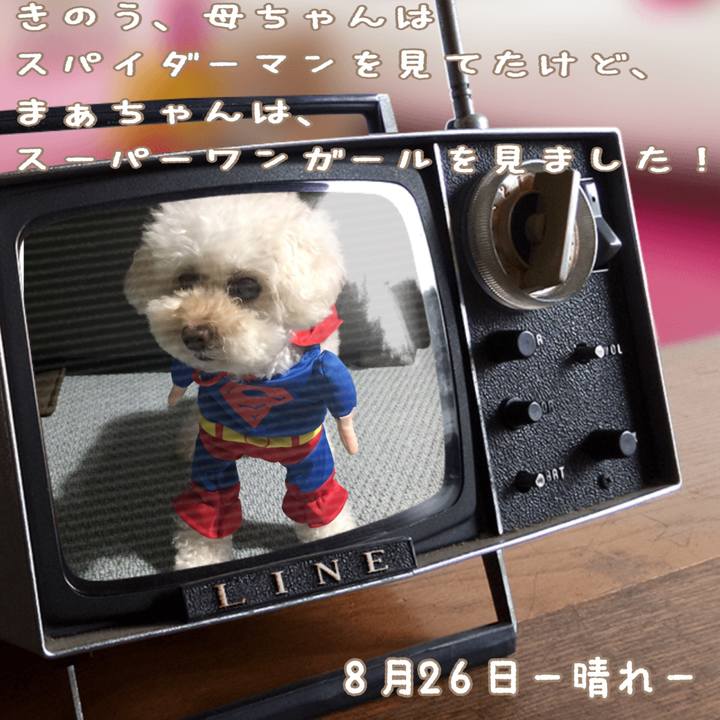 71d37a61 29f6 4c06 bd90 094660ba517c