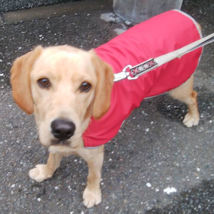 71d48067 3389 4c6c b70c beaa9cab6cbc