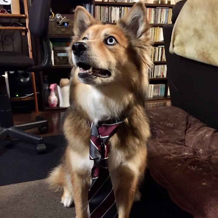 71d57881 d930 4860 8fec 47232e71340b