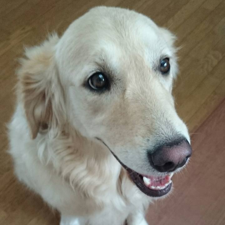 71d5b387 041a 4240 8166 7640bd19b452