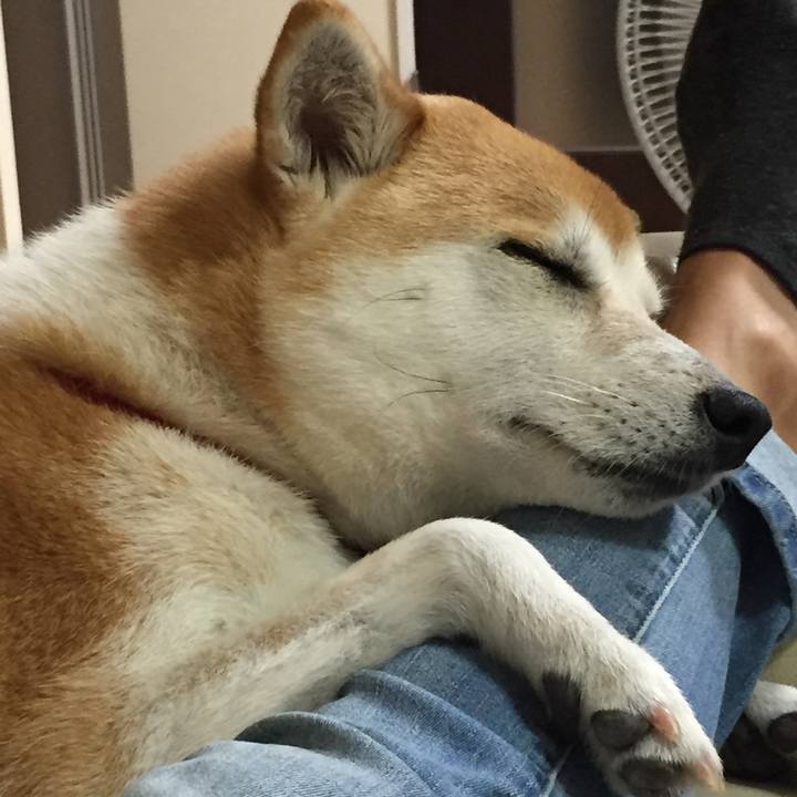 71d62f86 321d 401b 84c0 e32de828db20