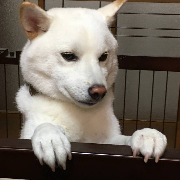 71d63f61 3925 4f3b a368 04272d8b400d