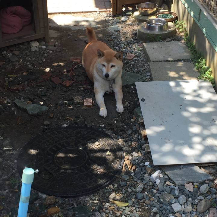 71d6aa68 a777 4782 a26c 7db770dbc682