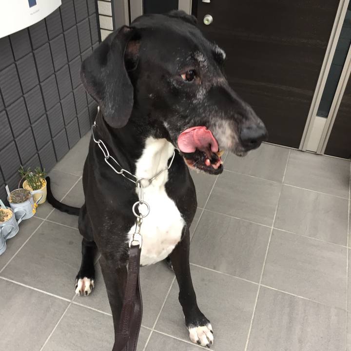 71d6af12 84ef 41a1 84ad f3688316efb6