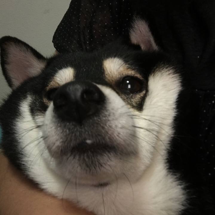 71d6e467 b2dc 4a41 abc7 2e8b6c3be9a0