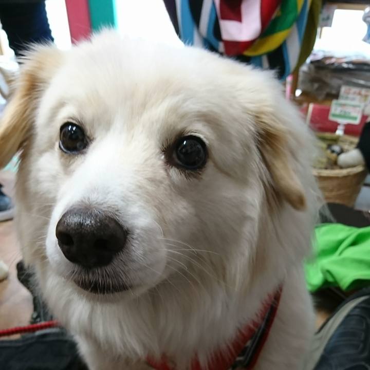 71d7c5ac 78a5 4cfb 9e8f 312ad2525423