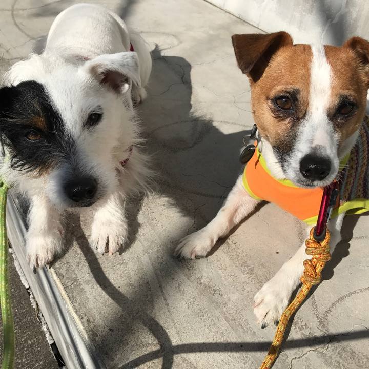 71d7f6a3 36bc 479c 8b8e cbdba95050e6