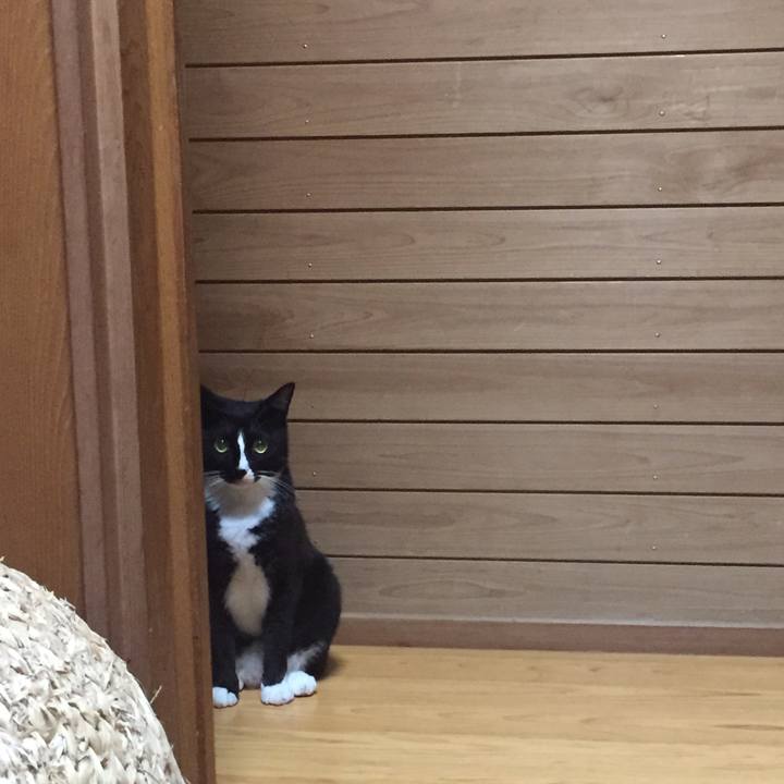 71d81031 70cb 46ec 9056 d077d556e1cd