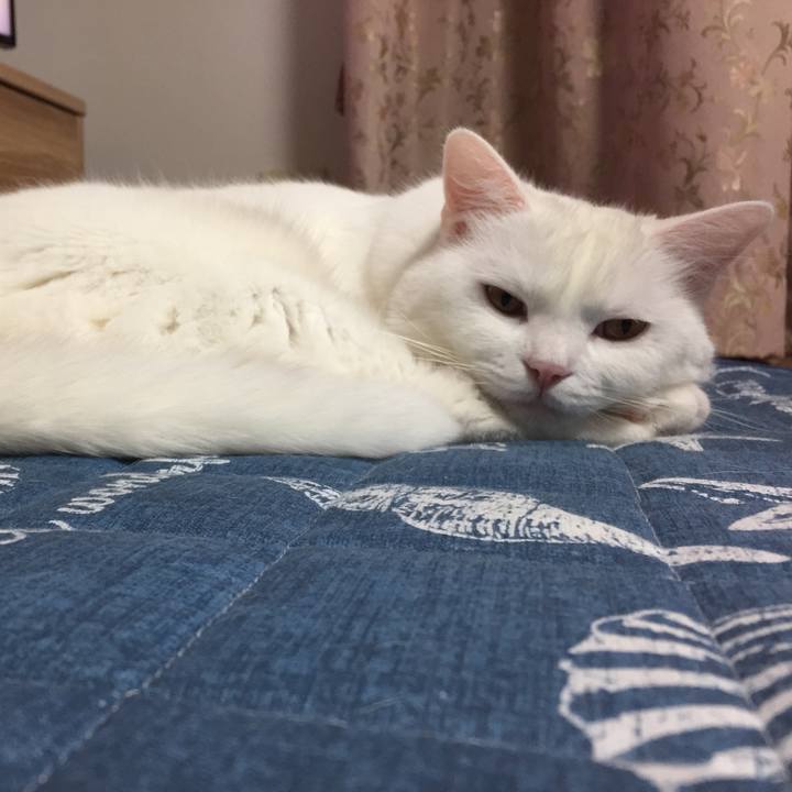 71d8860d 3ee0 4e3b ad11 7897f94595d7