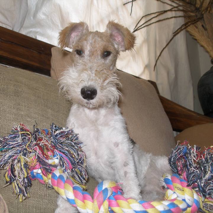 71d89afc 51ff 4565 972f 09fd0134fbd1