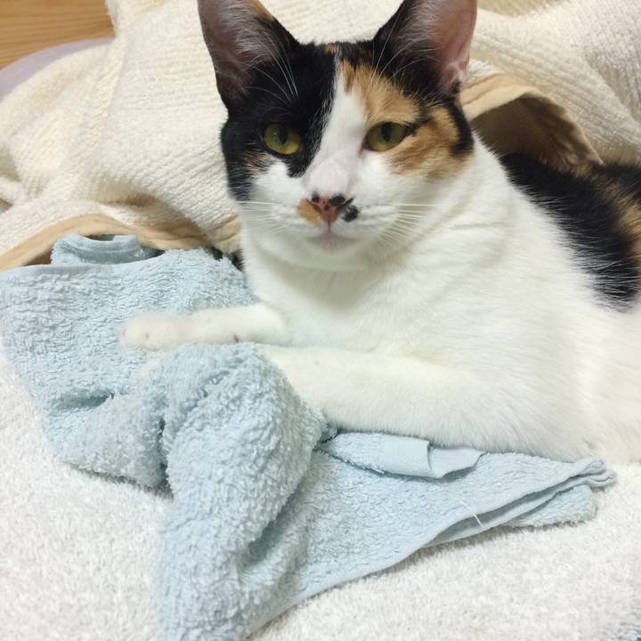 71d8fe08 b111 489c 9ae9 b605fb30e67a