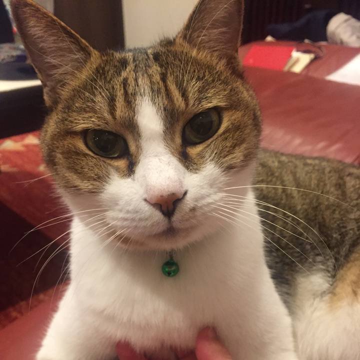 71d94c67 0ae4 4572 9cd9 15174bd8b26f