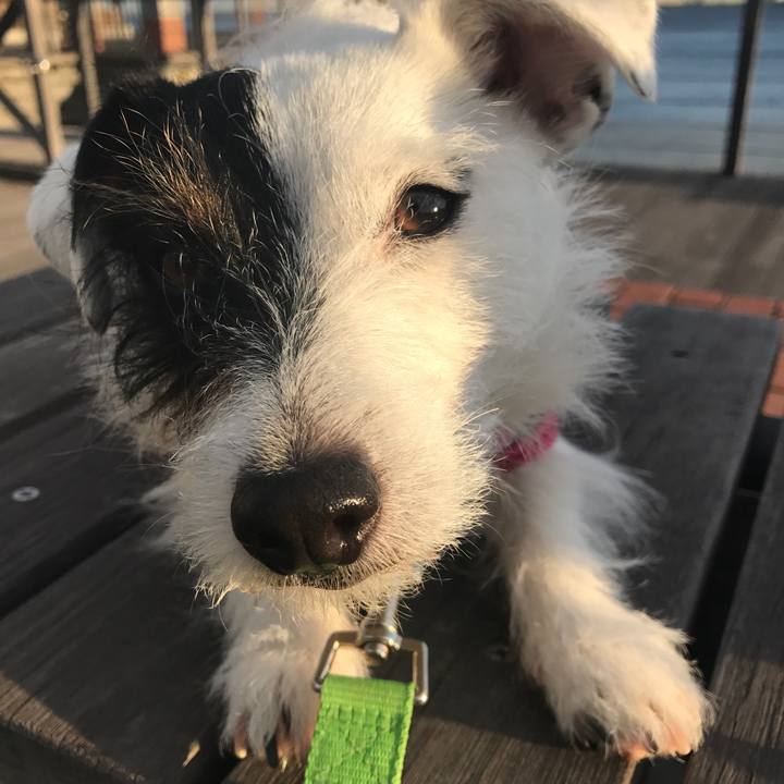 71d9a7ca 2260 48dc ae90 0492b4143876