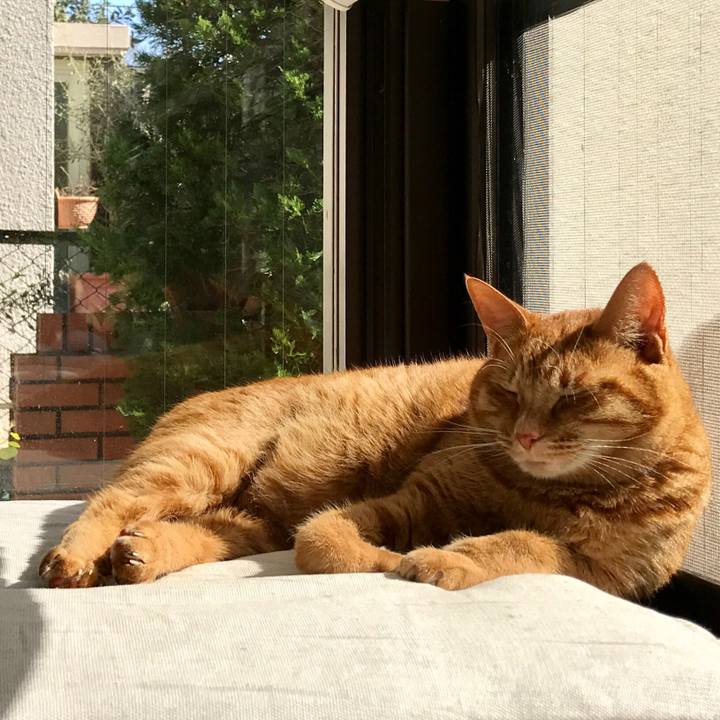 71db16db 80d0 441e af4f 11085d33c6d3