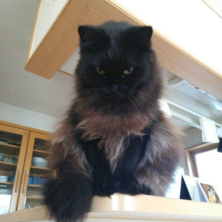 71db830c 66f9 4595 b52f 75ebd544ad6b