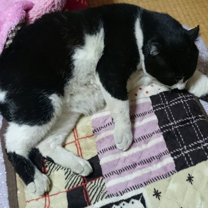 71dbcb96 f800 446d 8d9d c3ac9e292fc8