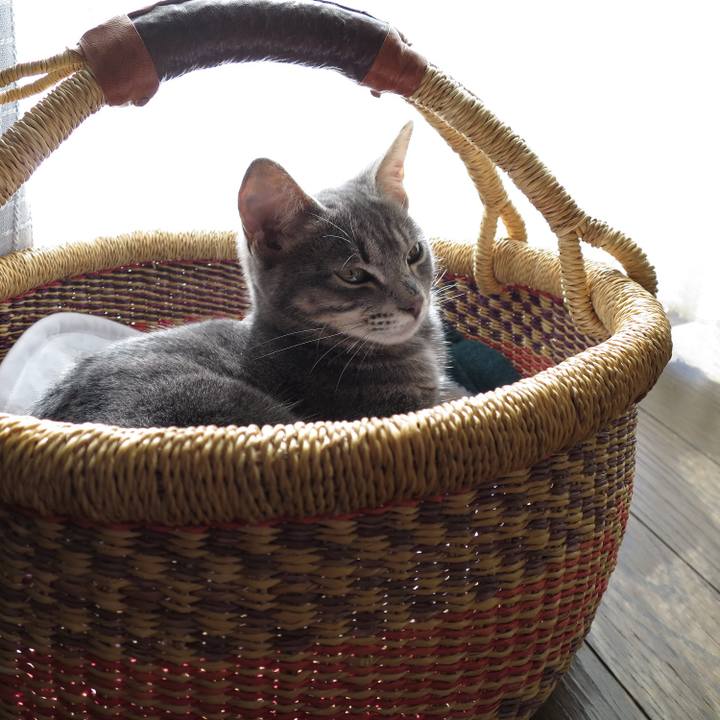 71dbdc6f 5017 482b 80b3 80e0a36cf9c3