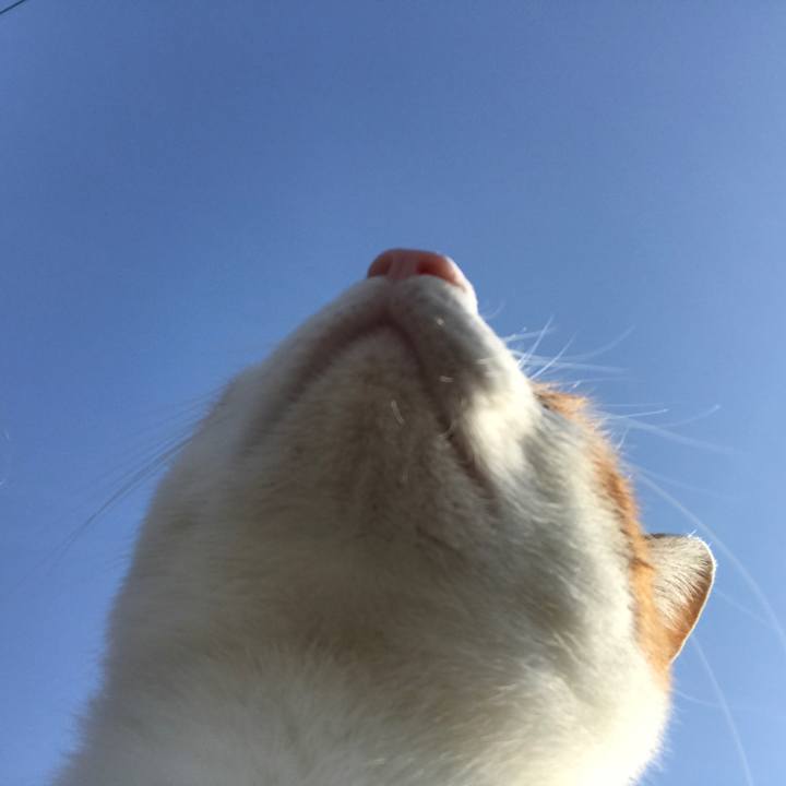 71dd5e24 beb9 4fca b2c8 5f091cb8b812