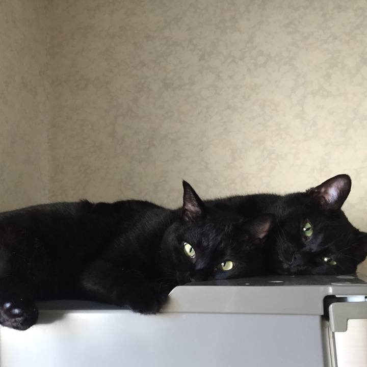 71dd5f9c 5aa2 40ba ad42 78c6d034f518