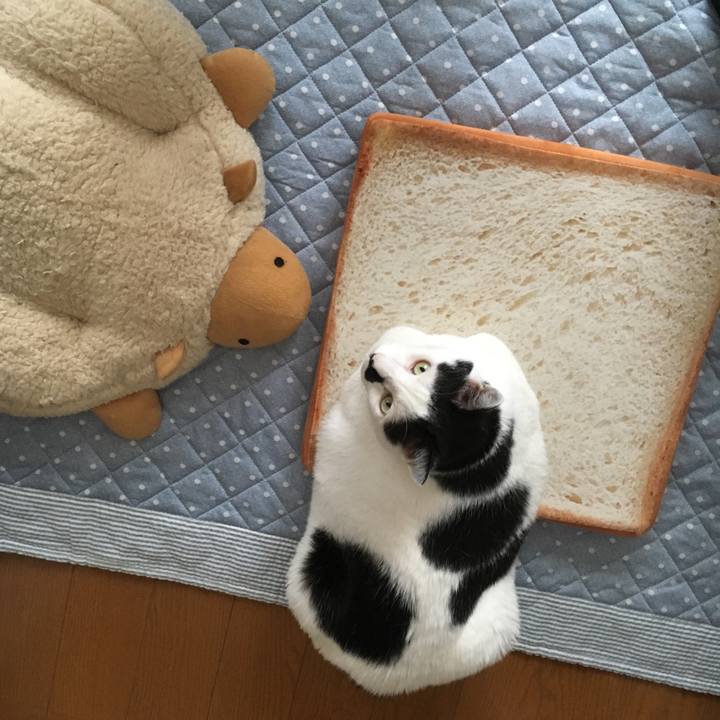 71dd8dca 9f11 4595 b834 3b9a383004e4