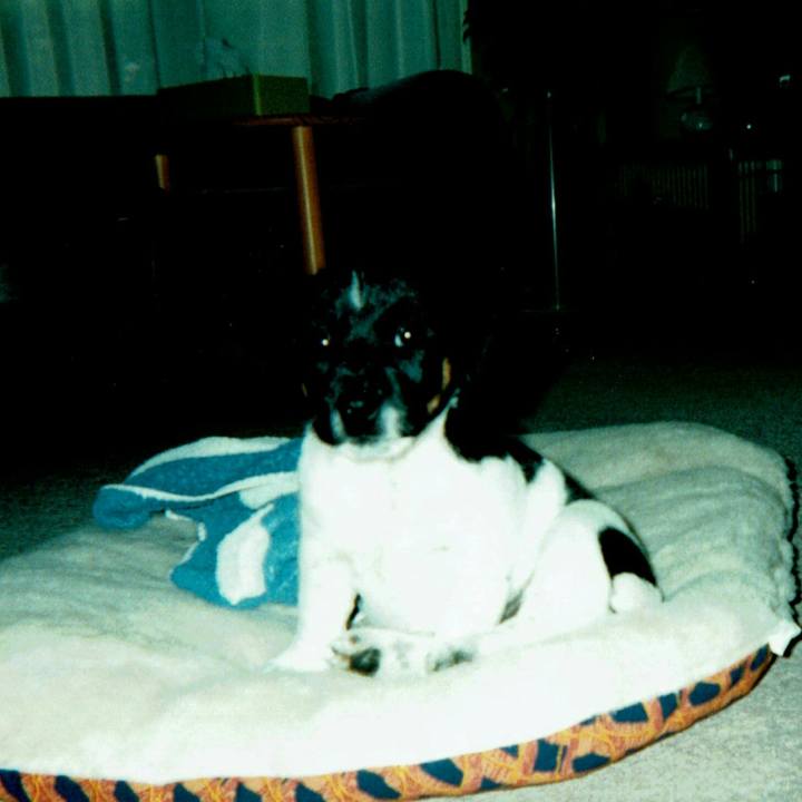 71dec37b 7afd 40c1 aa6c 9b6b4720141d