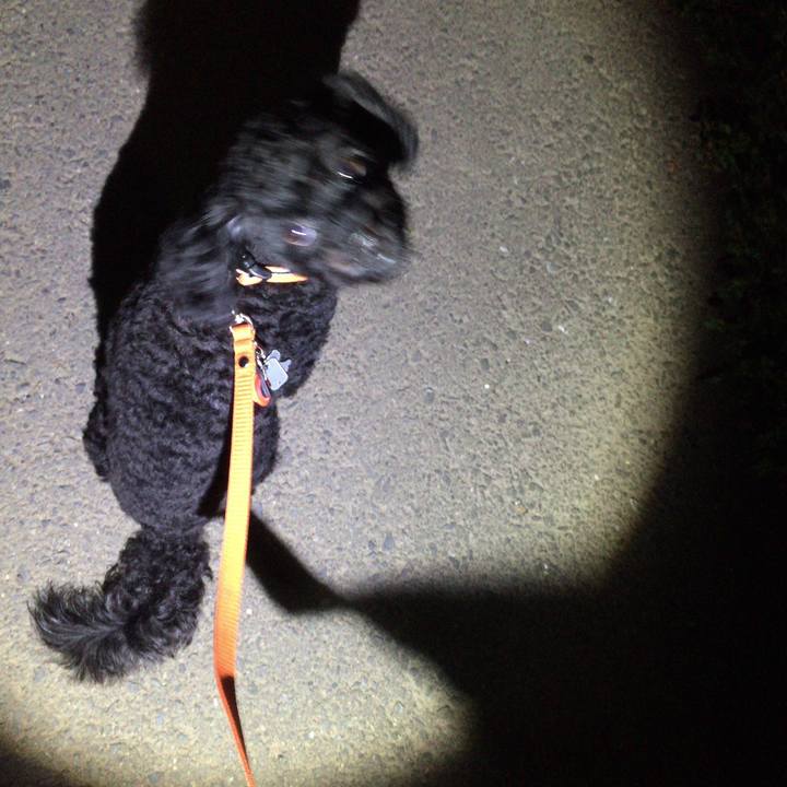 71df046b 7bbe 4454 872f 627360bbdf81